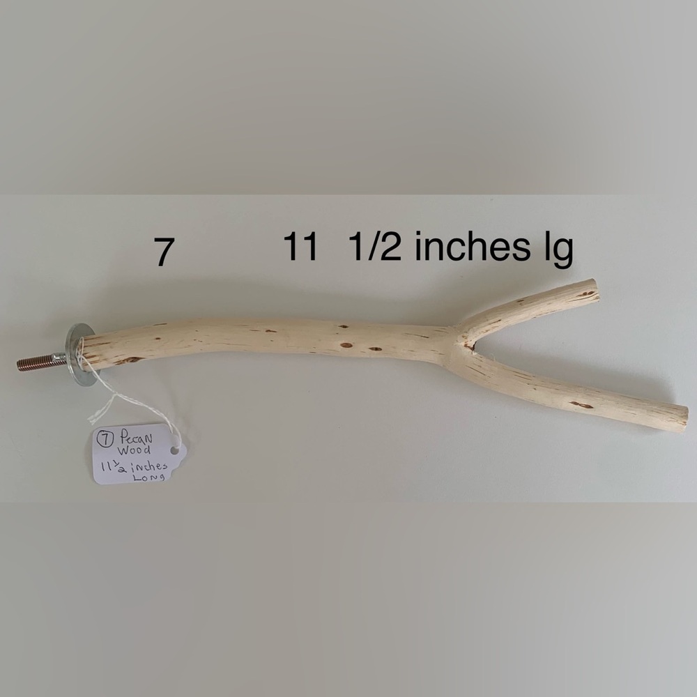 Pecan wood parrot perch